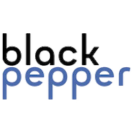 Black Pepper Software Ltd. logo