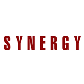 SYNERGY Consulting logo