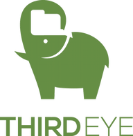 ThirdEye Data logo