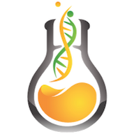 PhD Labs
