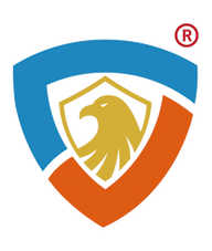 CyberSafeHaven Consulting logo