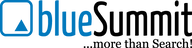 Blue Summit Media logo