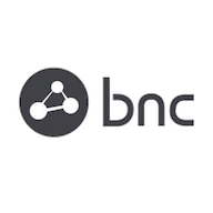 Business Network Consulting logo