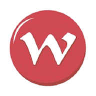 Wisitech InfoSolutions Pvt. Ltd. logo