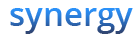 Synergy Consulting Group