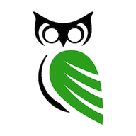 Wise Digital Partners