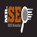 Mr. SEO logo