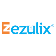 Ezulix Software Private Limited logo