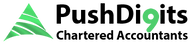 Push Digits logo