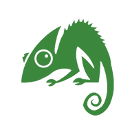 Chameleon Web Services logo