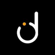 Direlli LLC logo
