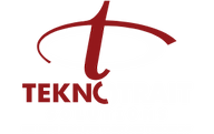 Teknotrait Solutions logo