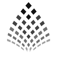 QArk1 logo