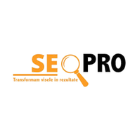 AGENTIE SEO PRO logo