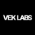 Vek Labs logo
