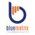 BlueMatrix Technologies logo