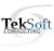 TekSoft Consulting, LLC