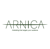 Arnica Marketing Agency logo
