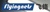 FlyingNets Information Technology Co, Ltd. logo
