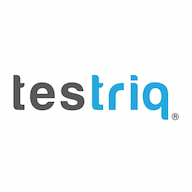 TESTRIQ QA LAB logo