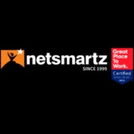 Netsmartz logo