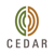 Cedar Management Consulting International