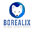Borealix logo