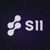 S11.mt logo