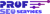 Prof SEO Services