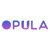 Opula Software Development Pvt. Ltd. logo