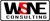 WSNE Consulting