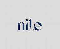 Nile Web Design & Digital Marketing Dubai logo