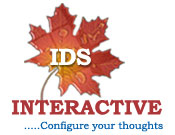 Interactive Data Systems Ltd logo