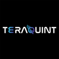TeraQuint logo