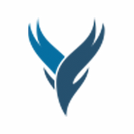 Vibrantick Infotech Solutions logo
