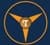 Tvisha Technologies Inc