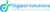 Digipal Solutions logo