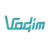 Vadim Internet Solutions logo