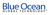 Blue Ocean Global Technology logo