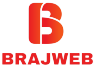 Brajweb Technologies Pvt Ltd logo