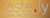 Taste.ly Communications (SH) Co Ltd logo