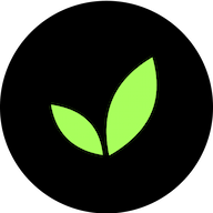 Developios logo