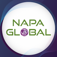 NAPA | IT Services and Consulting logo