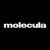 Molecula logo