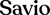 Savio.Agency