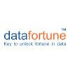 Datafortune INC logo