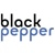 Black Pepper Software Ltd - Out of Business logo