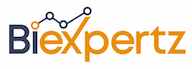 BI Expertz logo