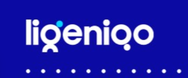 recommendedProvidersItem