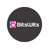Bitswits logo